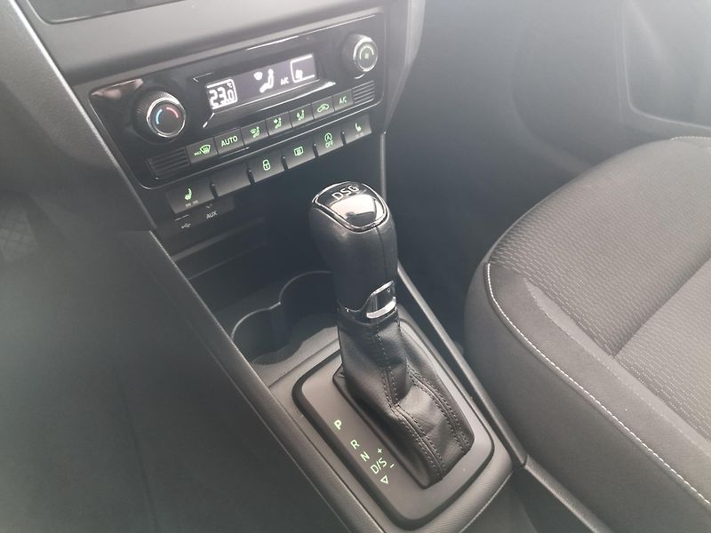 Škoda Rapid (2015) TDI,66KW,DSG,ALU,SERVISKA - fotka 23 z 32
