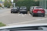 Mazda CX-5 2,5 AT AWD Newground, záruka - náhled 29