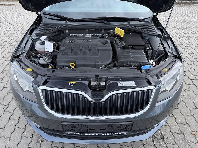 Škoda Octavia 2.0 TDI 110 kW servisní knížka - fotka 12 z 20
