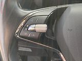 Škoda Octavia (2020) 2.0 TDi, LED, navi - náhled 14
