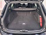 Ford Focus (2019) 1.5EB, ST-Line, AT - náhled 7