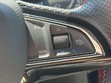 Škoda Fabia 1,0 TSI 81kW CZ Monte Carlo - náhled 22