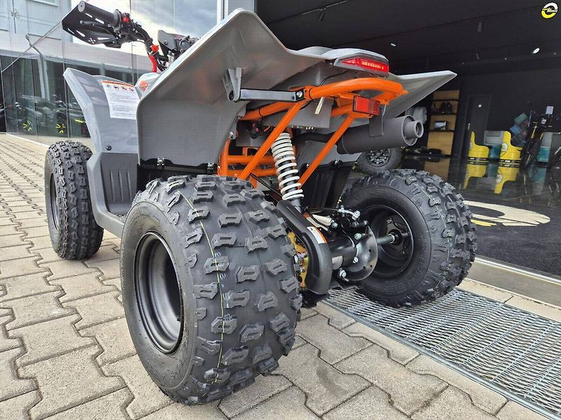 Kayo 110 (2026) A125 - fotka 12 z 18