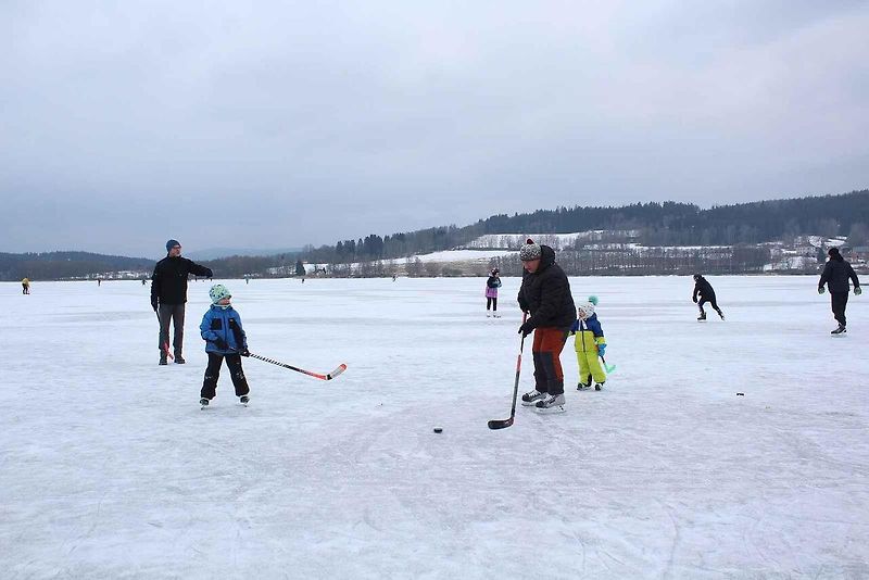 U Horní Plané se na zamrzlém Lipně vesele bruslí. Sem tam tudy ale na druhý břeh přejede i auto. Jen o pár set metrů dál přitom stále jezdí přívoz.