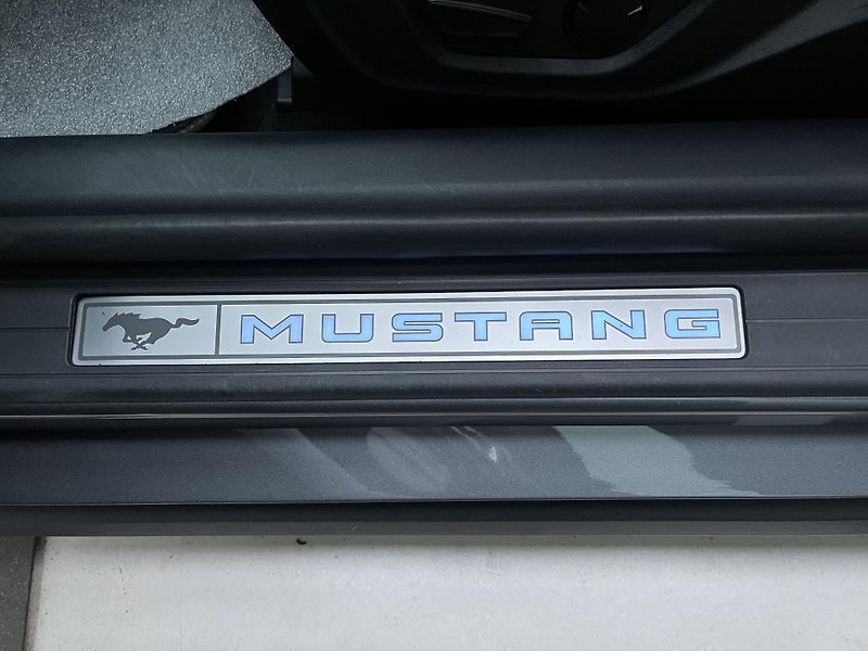 Ford Mustang (2024) 5.0 GT Perform 328 kW Man, DPH - fotka 41 z 46