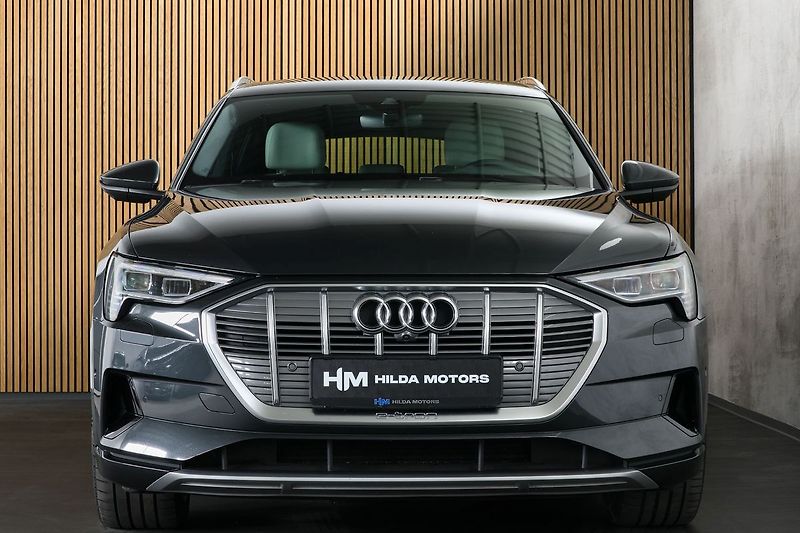 Audi e-tron 55 300kW Ventilace Matrix 360 - fotka 8 z 48