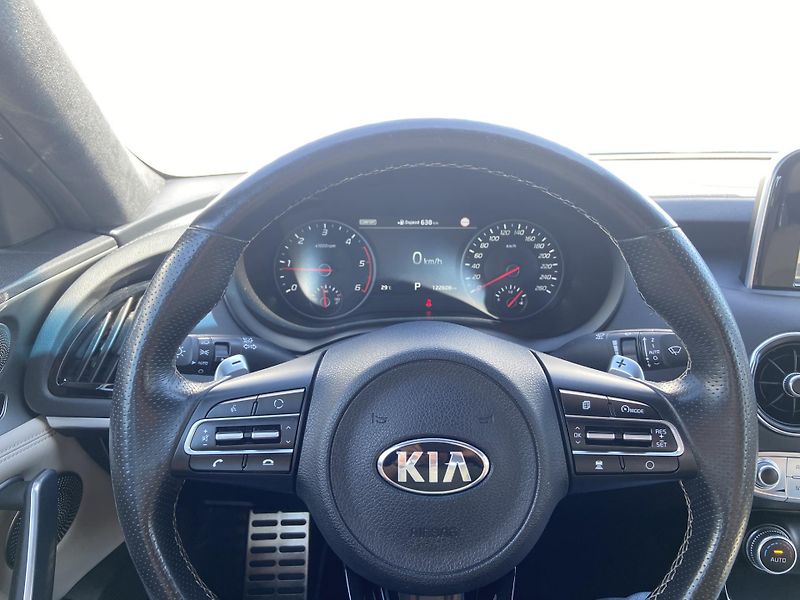Kia Stinger 2.2 CRDi 147kW 8AT GT-Line - fotka 18 z 28
