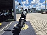 Royal Enfield Interceptor 650 (2026) Interceptor BEAR 650 - náhled 53