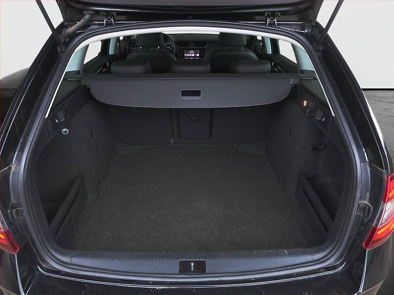 Škoda Octavia (2019) Style Plus 2.0 TSI, 4X4 - fotka 14 z 16
