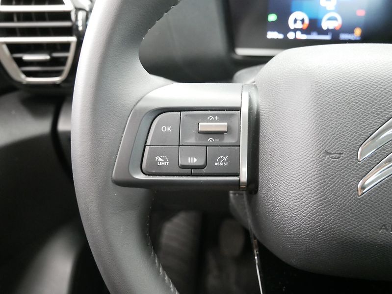 Citroën C4 X - fotka 15 z 25