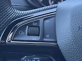Škoda Octavia (2018) III RS230 2.0TSi MAN, ACC, AFS - náhled 28