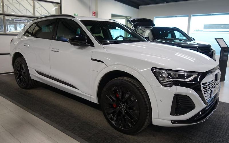 Audi Q8 e-tron 55 Q 360k Pano Tažné 4 zóny - fotka 2 z 6