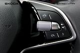 Škoda Octavia (2024) Combi Selection 1,5 TSI 110kW - náhled 11