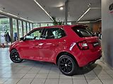 Škoda Fabia 1.2 TSI MONTE CARLO, PANORAMA - náhled 4