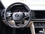 Škoda Kodiaq 2,0 TSI 4x4 DSG Style Plus DPH - náhled 15