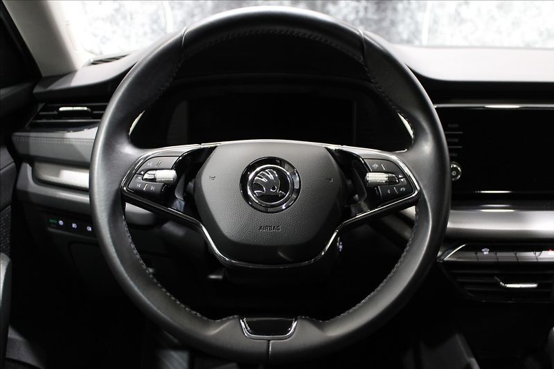 Škoda Octavia 2,0 TDI Ambition 1.majitel CZ - fotka 20 z 32