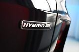 Ford Kuga (2025) 2.5 ST-LINE X 4x4 FHEV LED Taž - náhled 36
