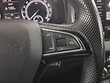 Škoda Karoq (2019) Ambition 2.0 TDI, Navi - náhled 17