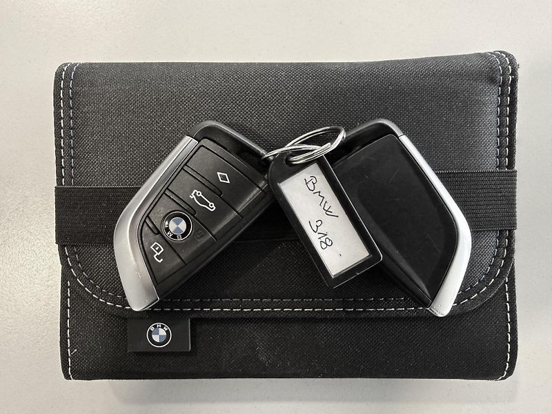 BMW Řada 3 318d Advantage Steptronic - fotka 44 z 47