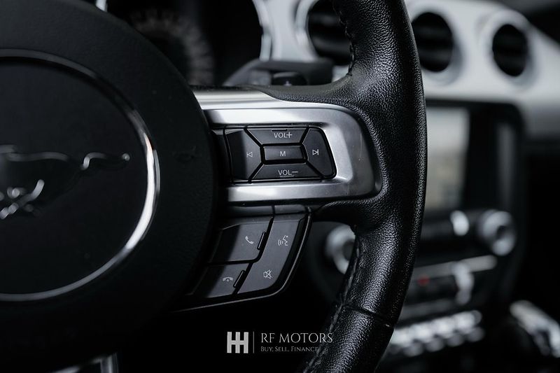 Ford Mustang (2018) Mustang 5.0 V8 GT 310kW - fotka 28 z 43