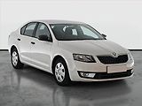 Škoda Octavia (2016) 1.6 TDI, ČR,1.maj - náhled 1