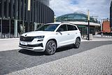 Škoda Karoq (2023) 1,5Tsi Sportline Exclusive DSG - náhled 6