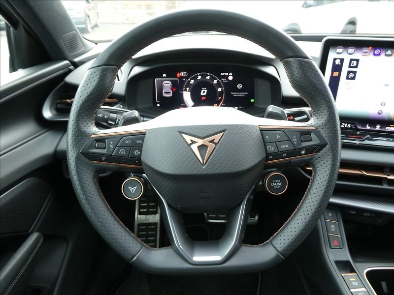 Cupra Terramar 2,0 VZ 2.0 TSi 195kW DSG 4WD - fotka 33 z 45