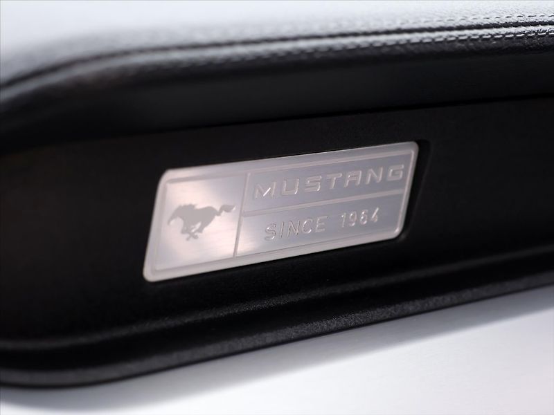 Ford Mustang 5,0 Ti-VCT 310kW V8 GT Aut. - fotka 25 z 33