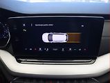 Škoda Octavia (2020) 2.0 TDI, Automat, Kůže, Navi - náhled 19
