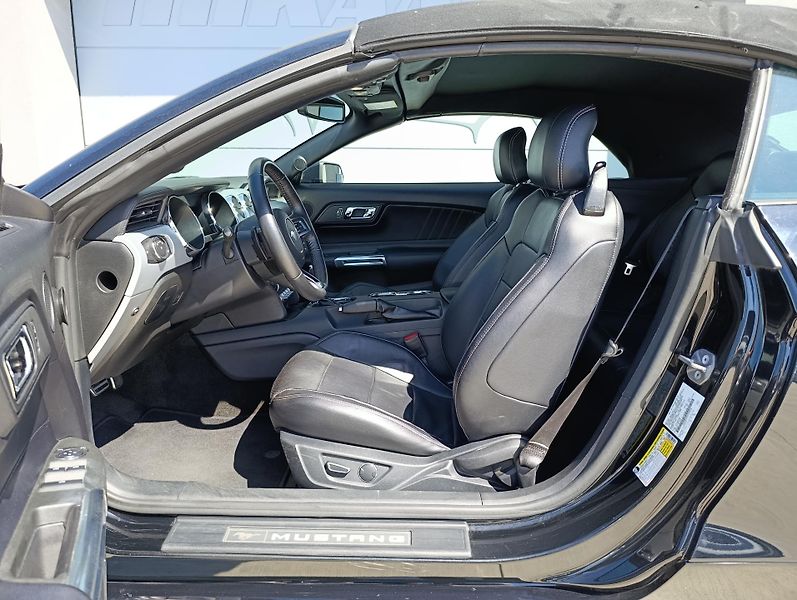 Ford Mustang 2.3 ECOBOOST CONVERTIBLE  - fotka 21 z 32