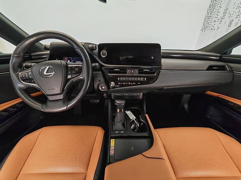 Lexus ES 300h Limited Edition - fotka 10 z 37