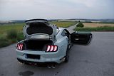 Ford Mustang (2021) MACH 1 - sběratelský kousek  - náhled 6