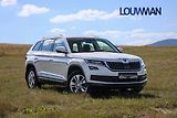 Škoda Kodiaq 2,0 DSG STYLE PLUS AWD - náhled 28