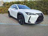 Lexus UX 250h black-white edition, kůže - náhled 1