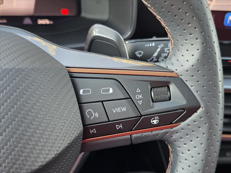 Cupra Formentor 2,0 TSi DSG 4x4 Matrix Tažné Z - fotka 20 z 26