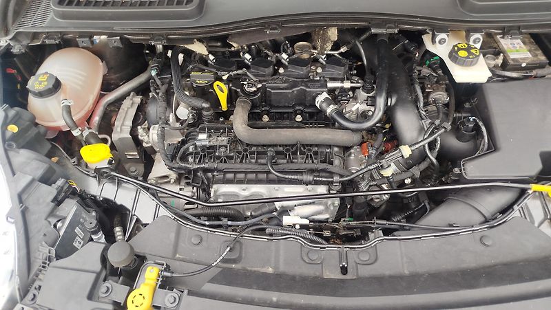 Ford Kuga (2019) 1.5  - fotka 30 z 33