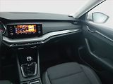 Škoda Octavia (2022) Ambition 2.0 TDI, Tempomat - náhled 8