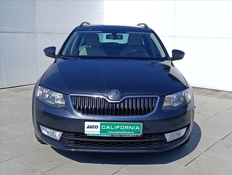Škoda Octavia 1,6 TDi 4x4 Navi,Kůže,Aut.klim - fotka 3 z 36