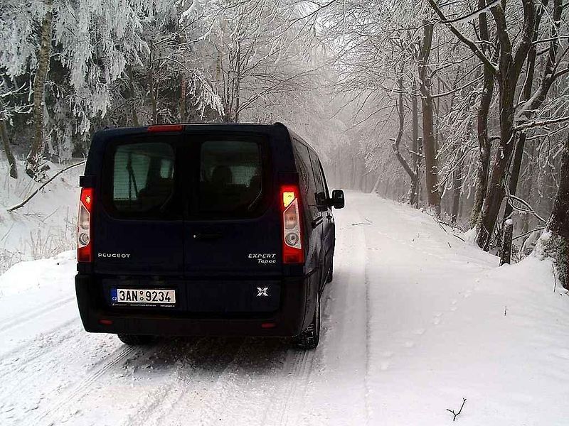Peugeot Partner Tepee 4x4 Dangel.