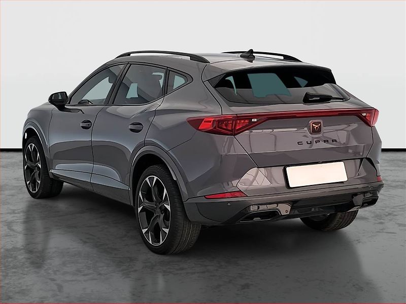 Cupra Formentor (2024) 2.0 TSI 4Drive - fotka 4 z 24