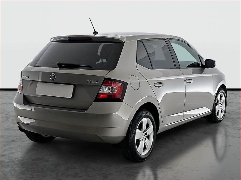 Škoda Fabia (2018) 1.0 TSI, ČR,1.maj - fotka 5 z 18