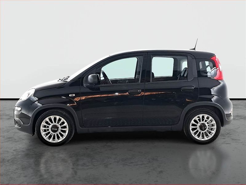 Fiat Panda (2024) 1.0 FireFly, Serv.kniha - fotka 3 z 15
