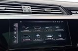 Audi Q8 e-tron 55 Sportback Q 360 Matrix Pano - náhled 28