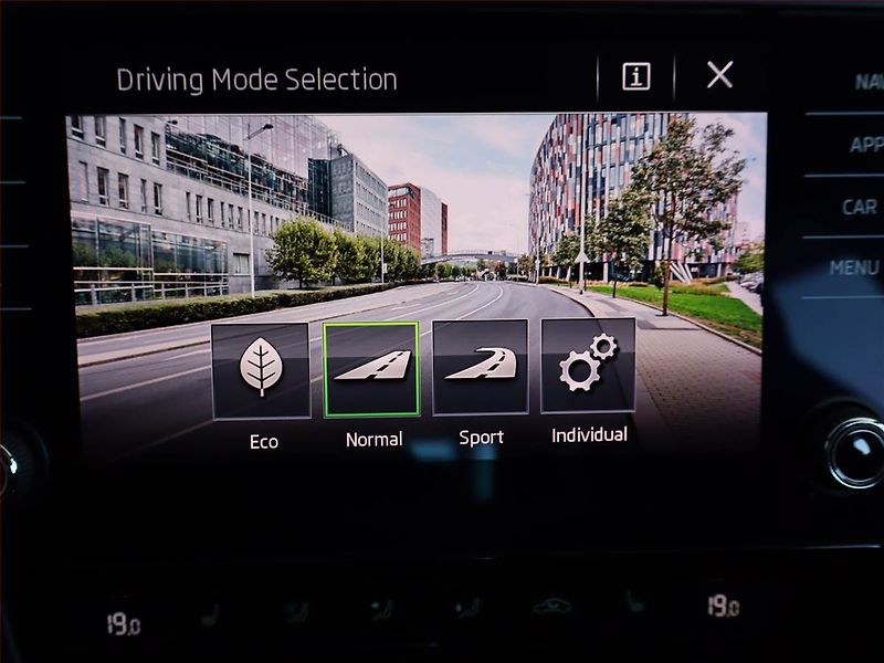 Škoda Octavia (2019) RS 2.0 TDI, Automat, Kůže - fotka 23 z 27
