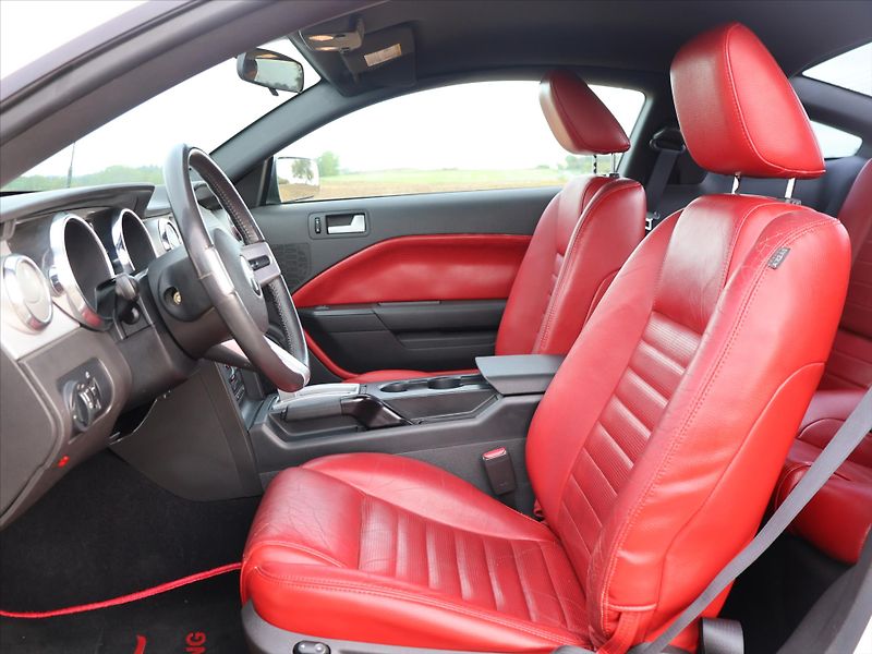 Ford Mustang 4,6 GT 224kW Racing USA - fotka 10 z 29