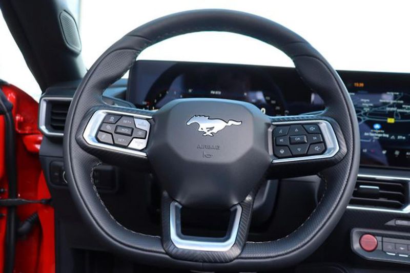 Ford Mustang (2026) 5.0 Convertible MagneRide Nite - fotka 16 z 22