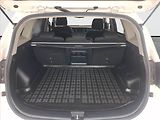 Kia Carens (2017) 1.6 GDI, Navi, Vyhř. sedaček - náhled 14