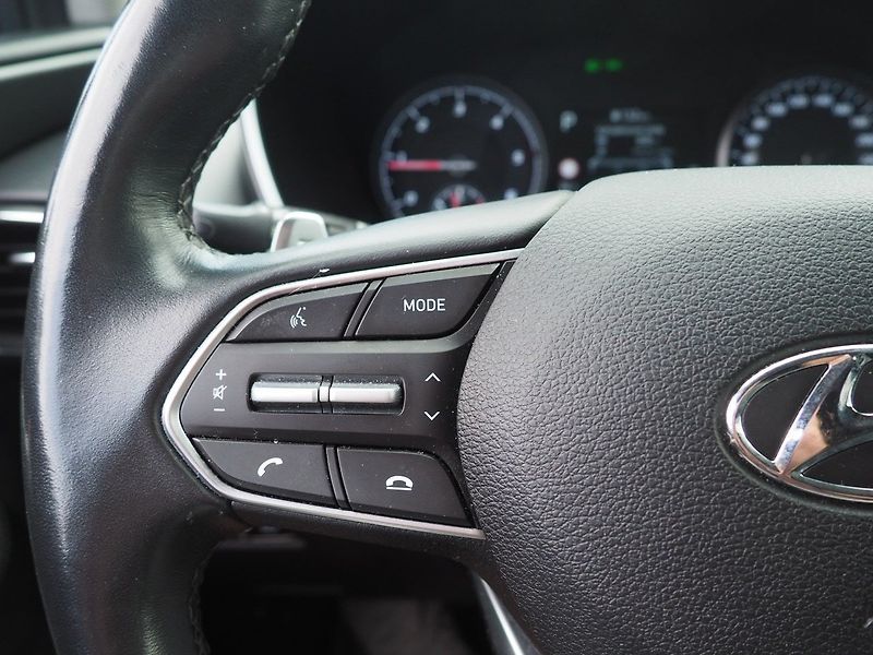 Hyundai Santa Fe (2022) 2.2 CRDi 4x4 Style Premium 8AT - fotka 25 z 48