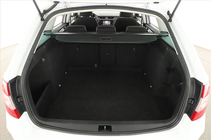 Škoda Octavia (2019) 2.0 TDI, Automat, Navi - fotka 16 z 17