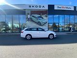 Škoda Octavia (2021) 4,2.0 TDI, Style plus,CZ,TOP - náhled 1